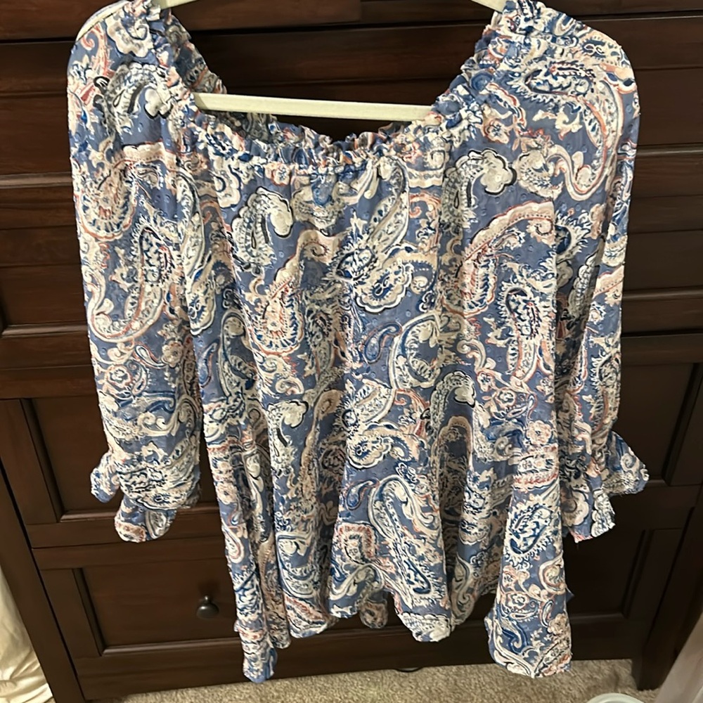 Cato sheer clipped chiffon paisley poet blouse sz XL